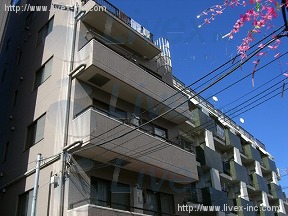 グレース白金