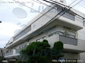 岩動(イスルギ)マンション