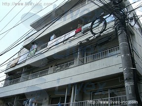 宇田川