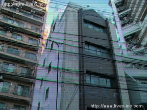第6池之端