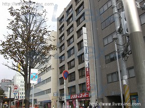 司