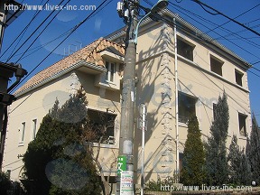 キャットストリート戸建店舗