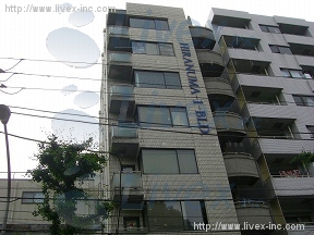 HIRANUMA-1