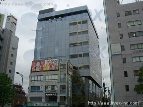 313南青山