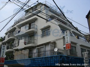 金井庵