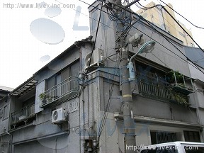 石毛