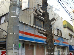十一屋店舗