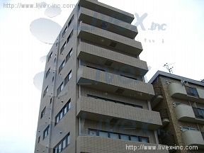 長谷川
