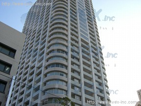 THE TOWER GRANDIA