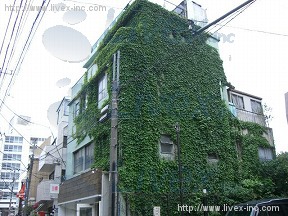 城所