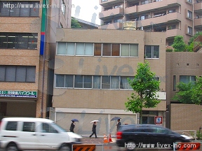 成毛