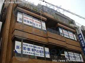 竹市