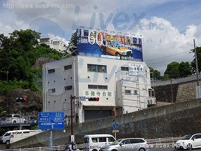 青嶺