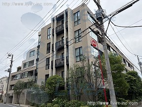 三錦第1号