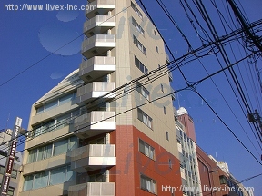 LYNX日本橋