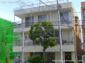 枝川最首