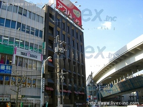 日金