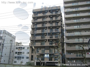 イーダ菊川