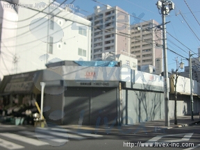 金町市野