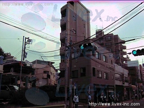 ドリーム白金