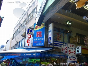 岸