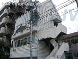 小島