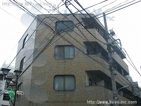 新井