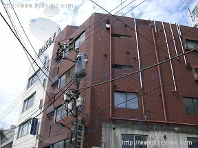 新井