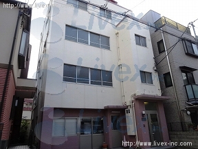 大南