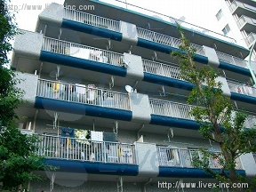 シャトレー白山