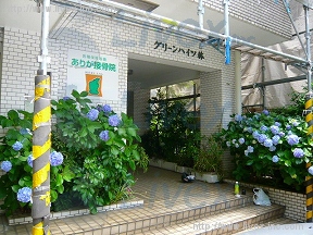 グリーンハイツ林