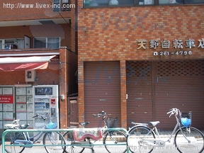 天野