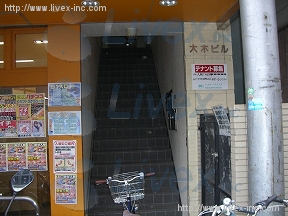 大木