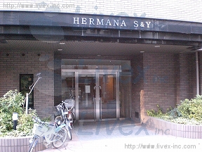エルマーナS&Y