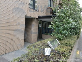 FOREST HILLS