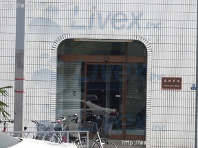 島田