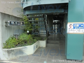 DS