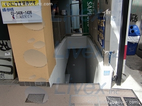 藤原