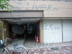 プリヴェ杉