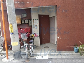 高木