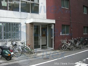 中の橋