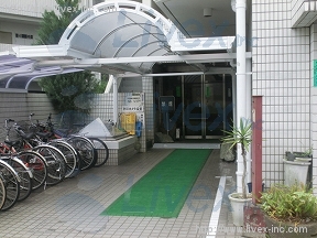 NS VIP