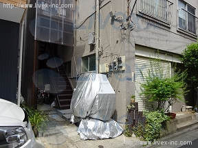 野原