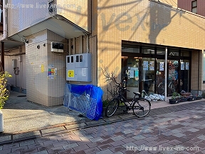 グレードワンヒラタ