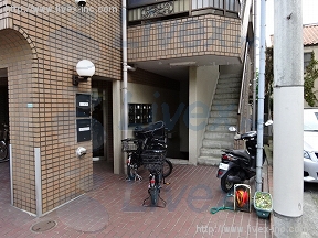 第5税経