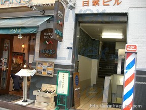 日紫