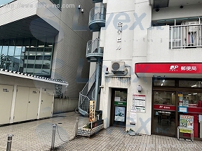 金子
