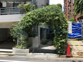 白草庵