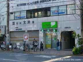 文洋