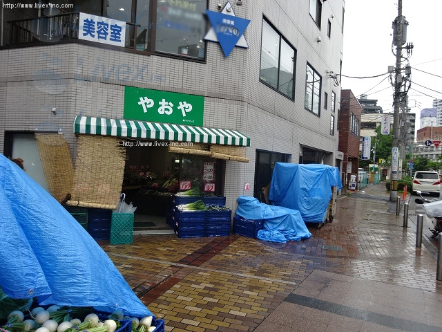 川辺